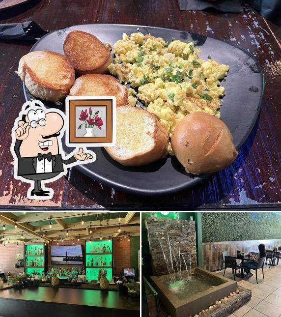 Rain Forest and Grill