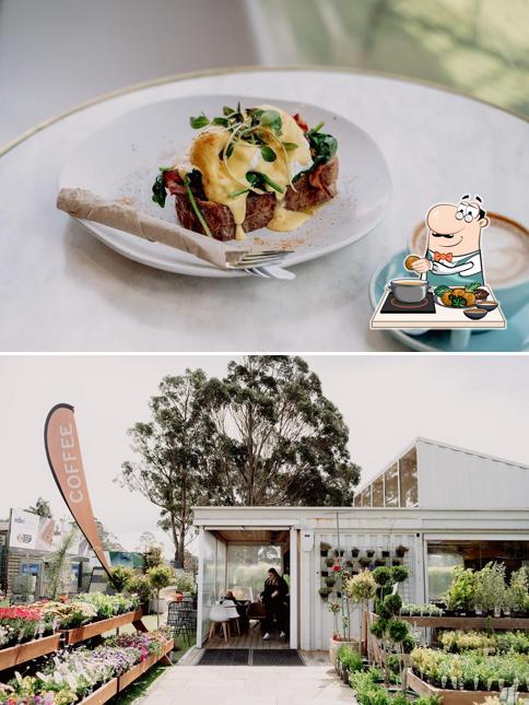 Brew+Bloom Cafe