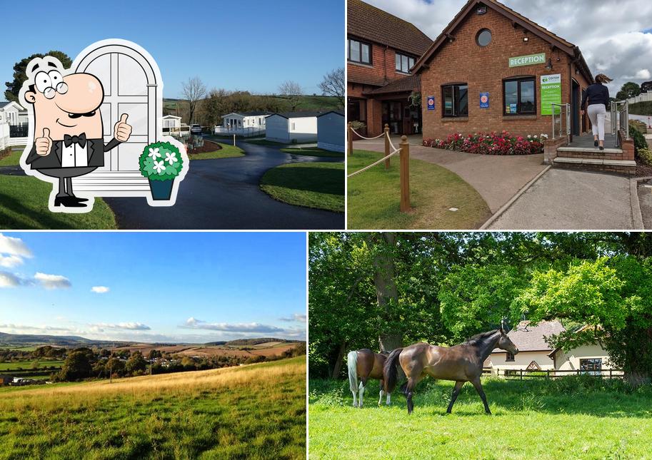 Cofton Holidays: Holiday Park Devon