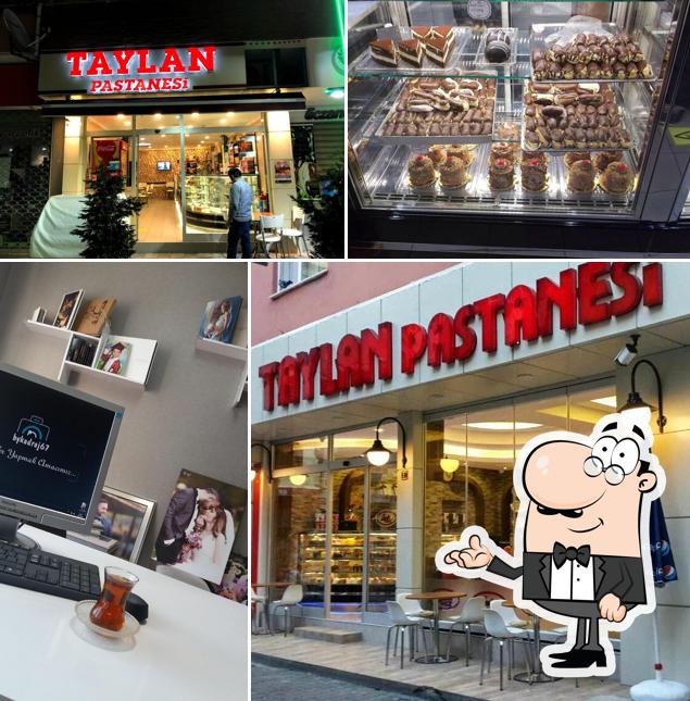 Taylan Pastanesi