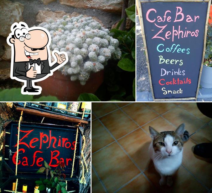Zephiros Cafe Bar