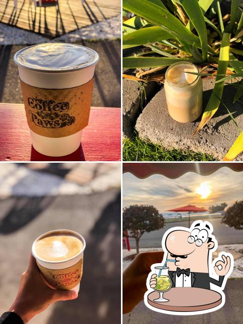 Coffee Paws