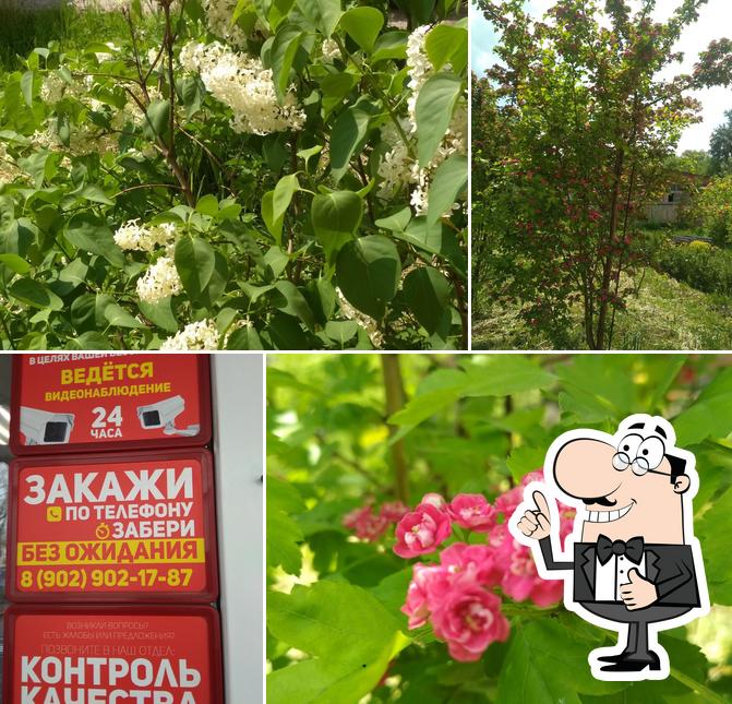 Дежурка