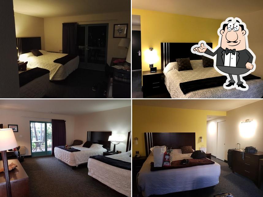Lemon Tree Inn