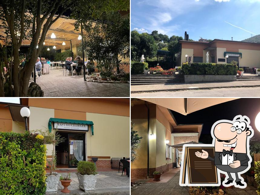 Mastro Ciliegia LUCCA