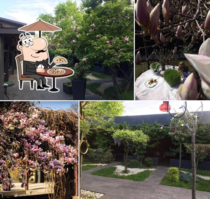 Белый попугай