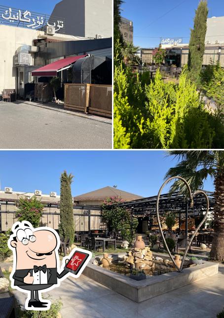 Top Organic Restaurant