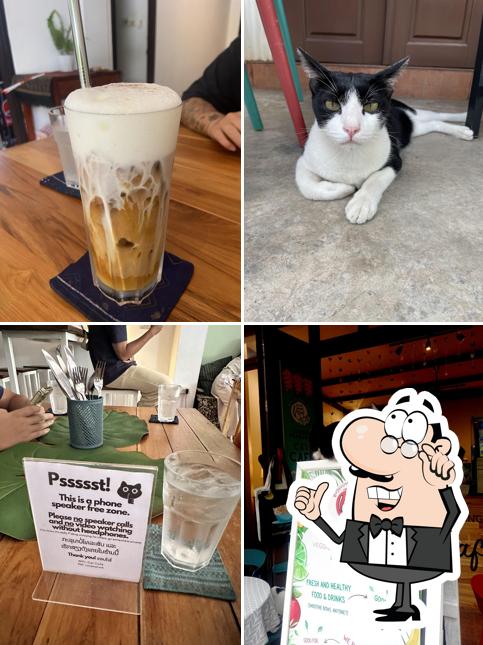 The Happy Cat - Veggie Cafe-Restaurant