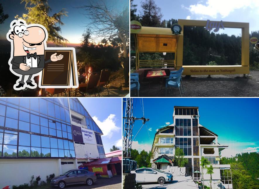 Daisy Dot Hotel