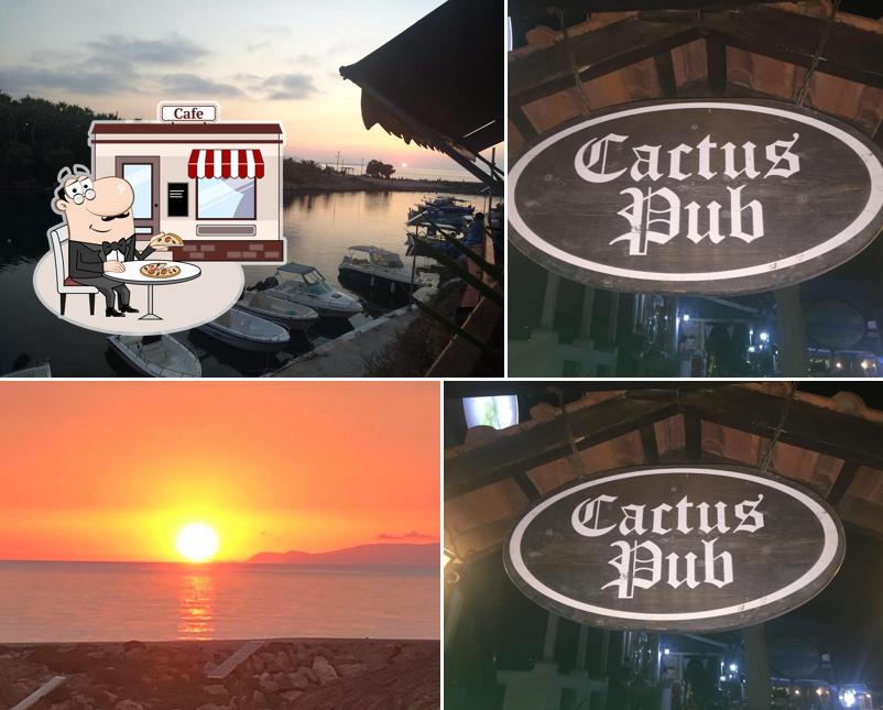 Cactus Pub