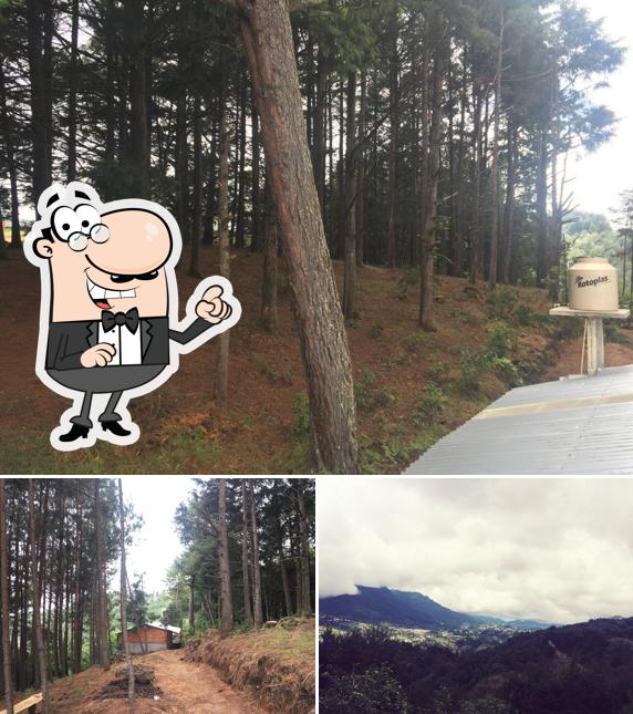 El Bosquecito