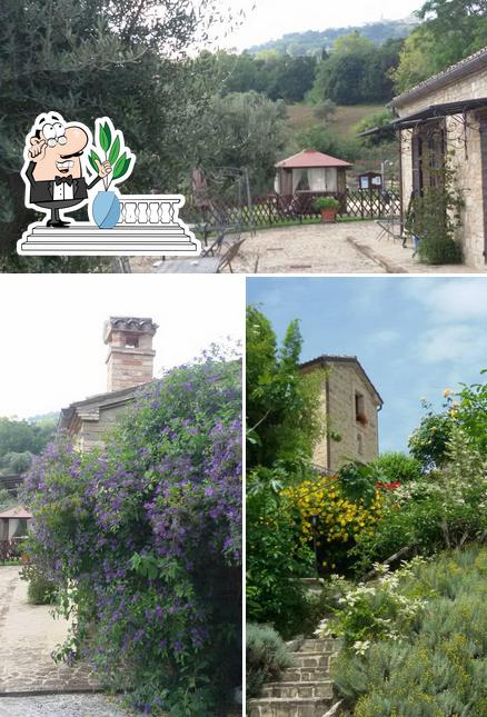 Agriturismo Gli Ulivi di Cherubini Lauro