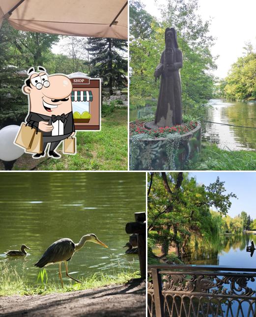 Ветерок