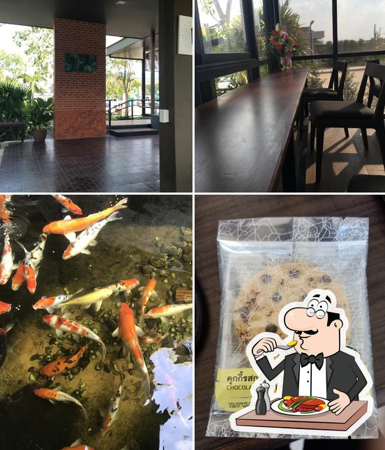 Café Amazon @ปตทlpgท่าขอนยาง