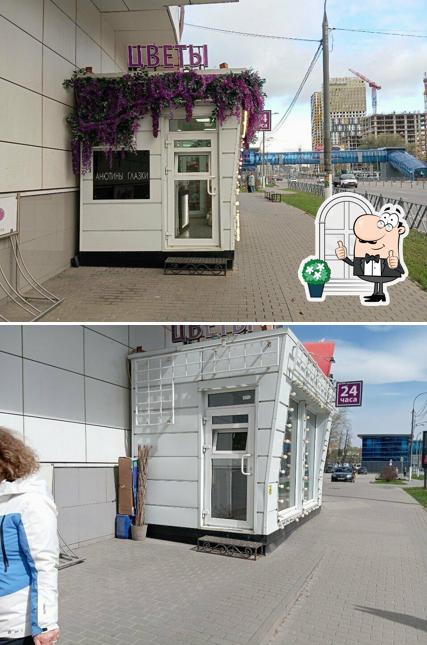 Анютины глазки