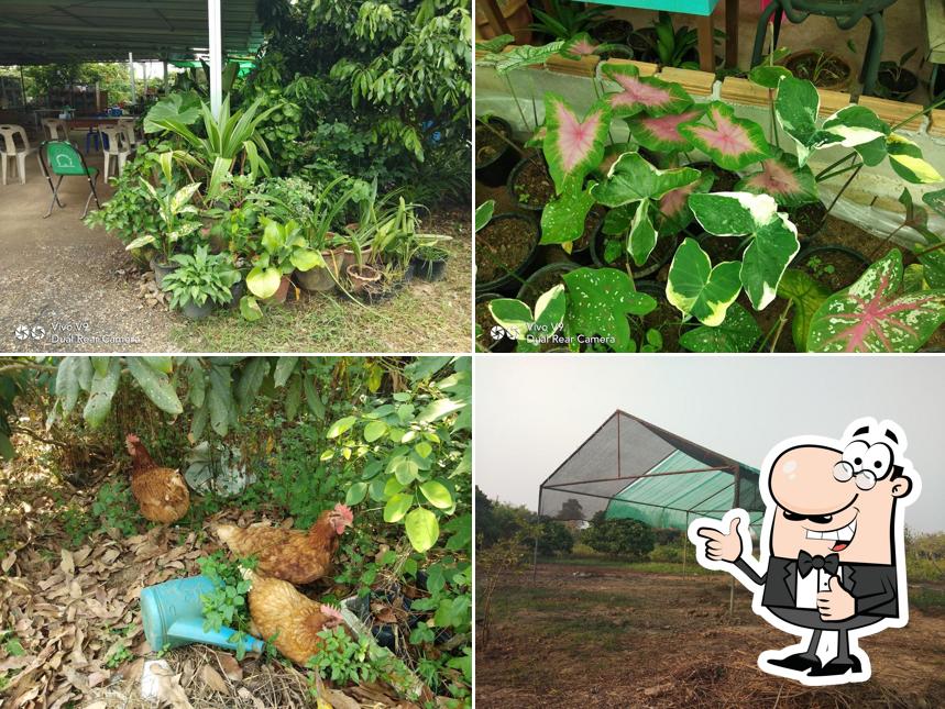 บ้านลูกอินทร์