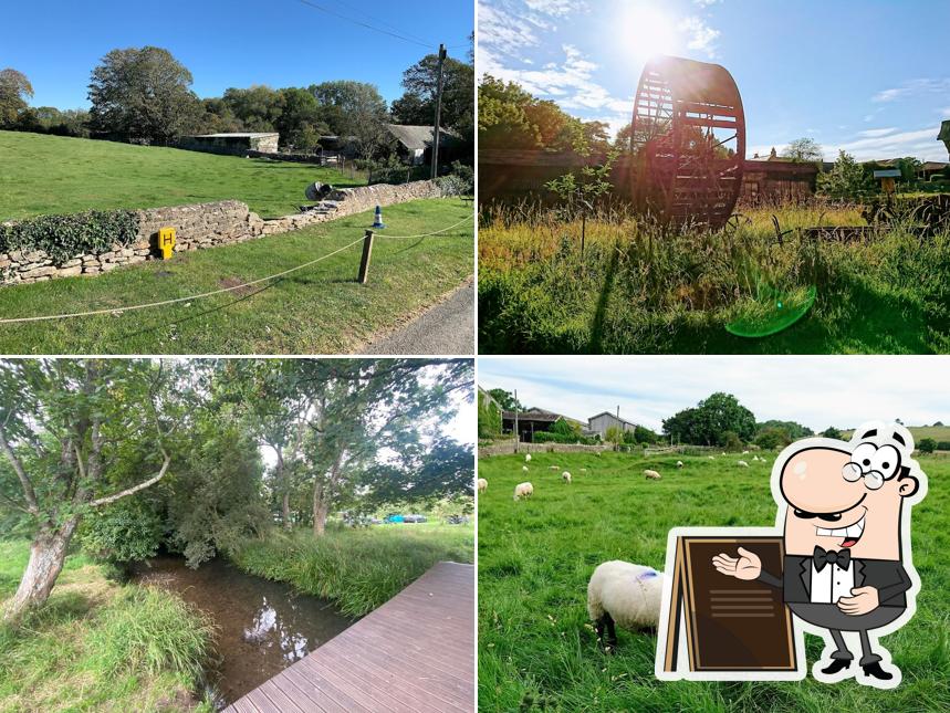 Bredy Farm