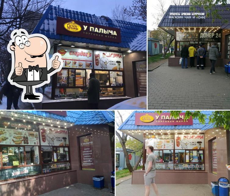 Stardogs
