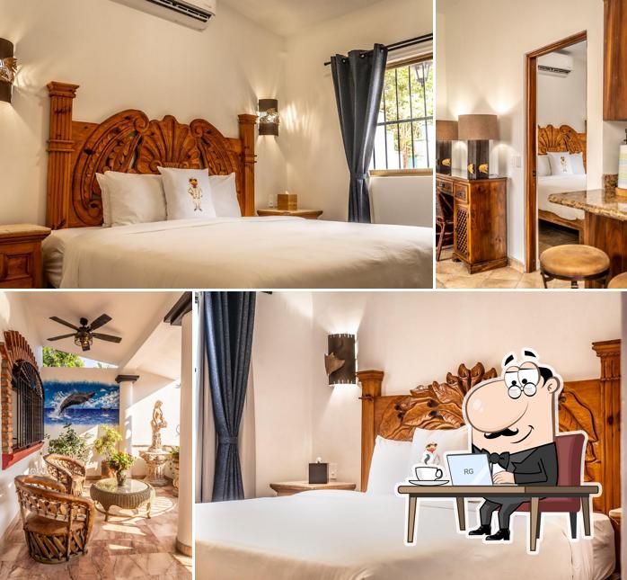 5 Frogs Hotel Bucerias