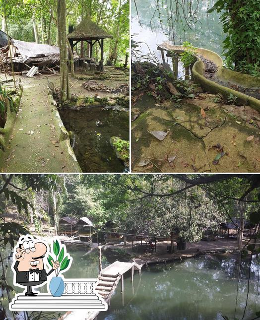 Tarzan Waterfall