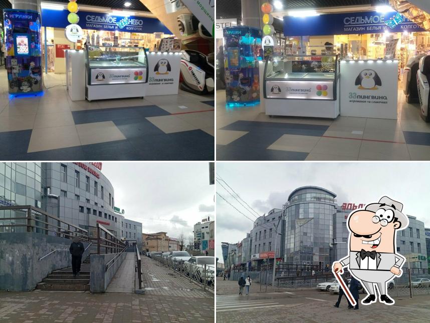 33 Пингвина