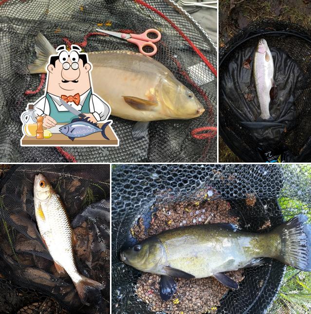 Magiscroft Coarse Fishery