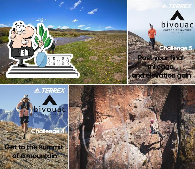 Bivouac Coffee