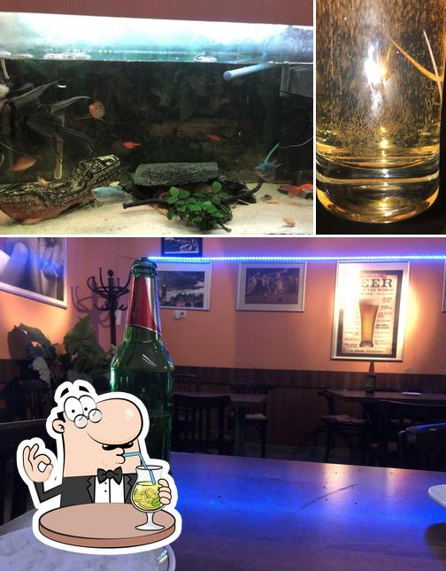 Derby Bar