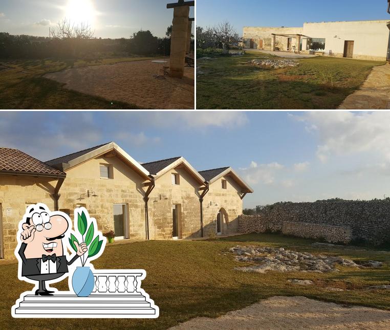 Falcon resort