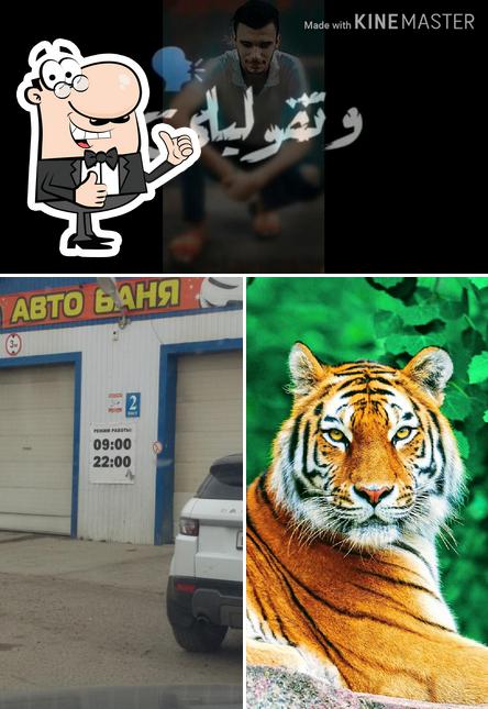 Езид