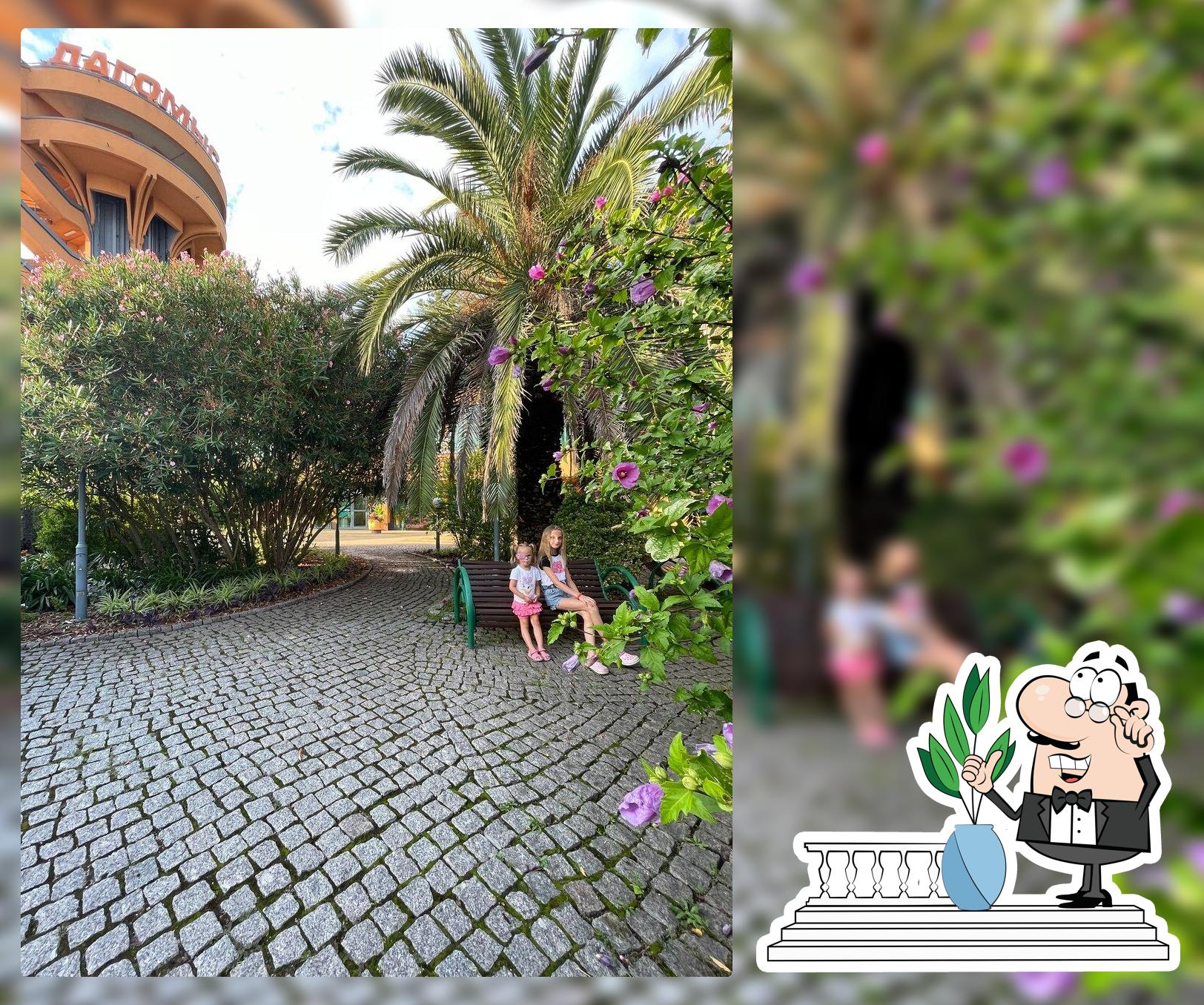 Пляж оздоровительного комплекса Дагомыс