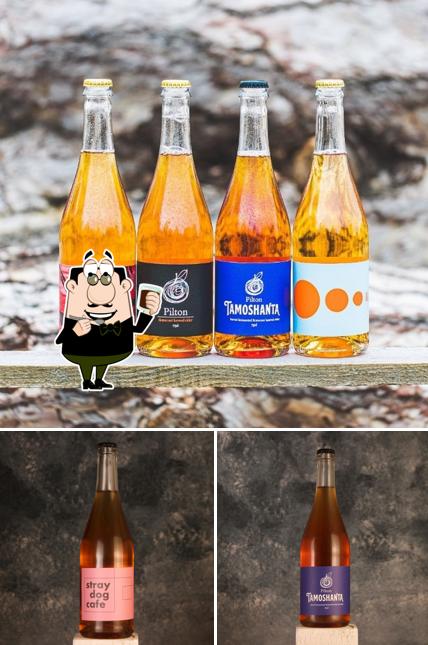 Cider Bus