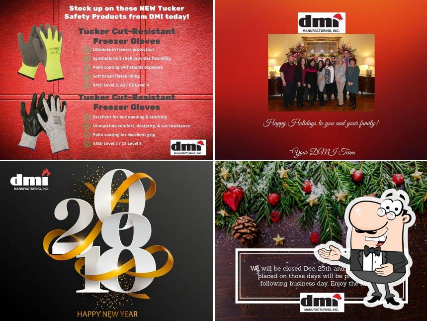 DMI Manufacturing, Inc.