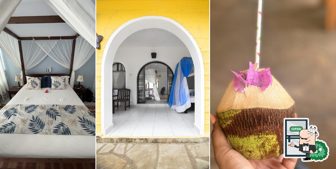 Coconut Beach Lodge