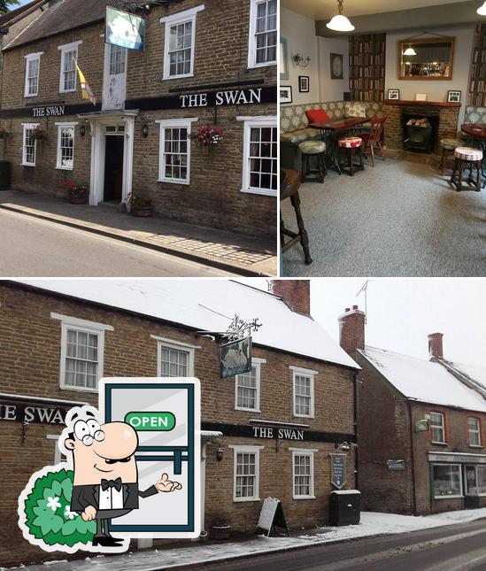 The Swan