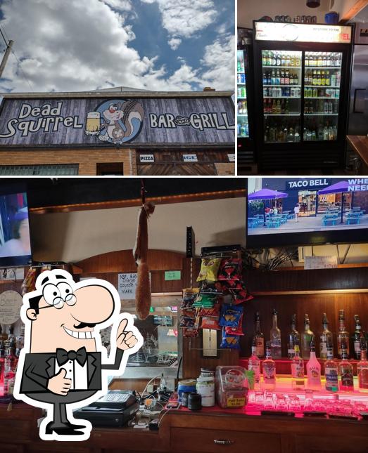 Dead Squirrel Bar and Grill