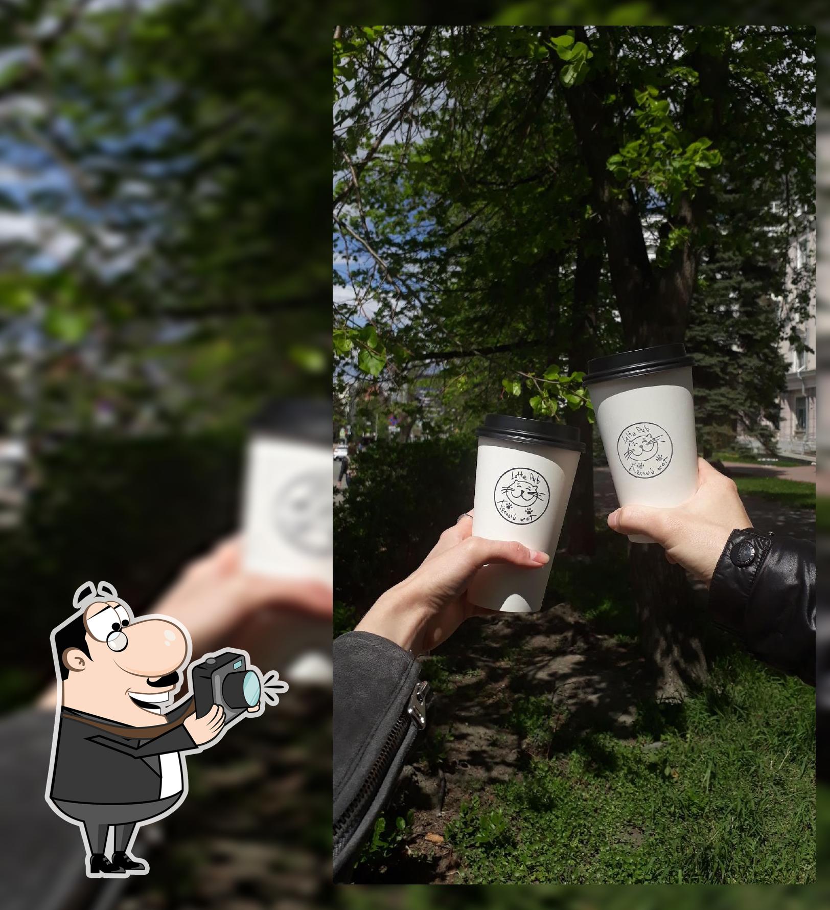 Тёплый кот