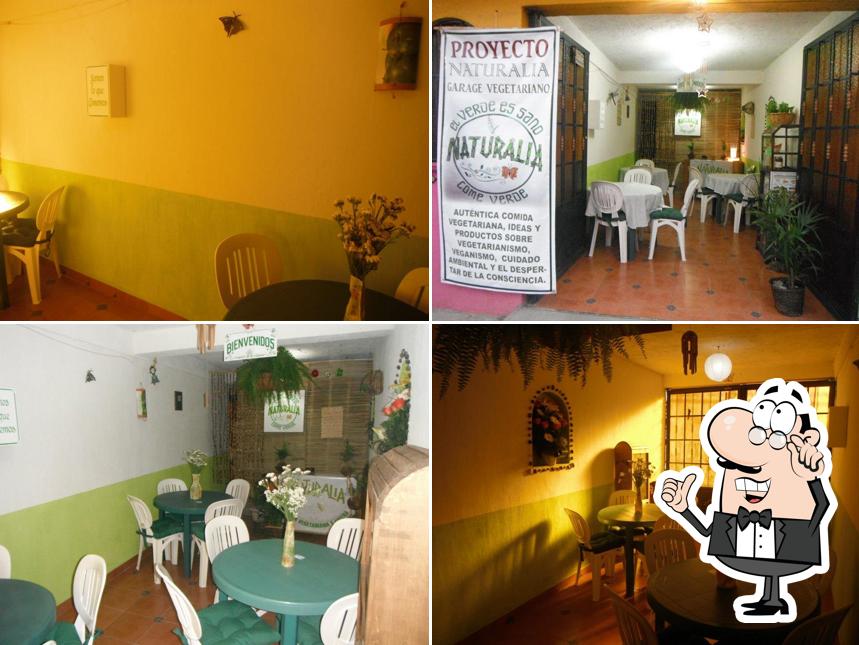 Proyecto Naturalia - Garage Vegetariano