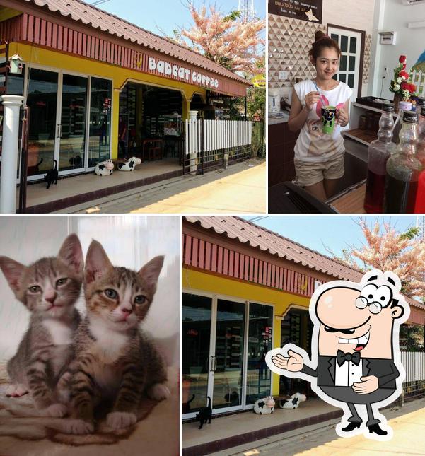 Halal Food & Bad Cat Coffee