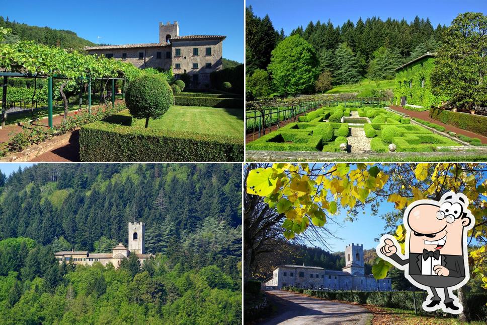 Badia a Coltibuono