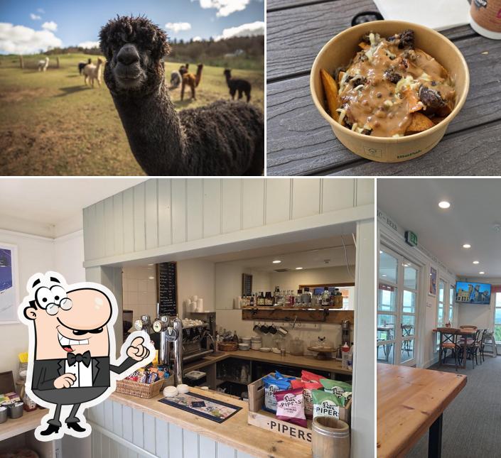Basecamp Bar and Cafe at Action Glen Outdoor Centre