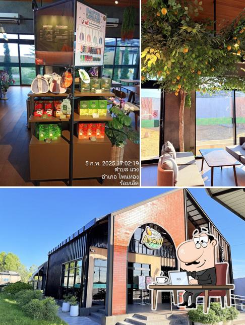 Café Amazon BCK