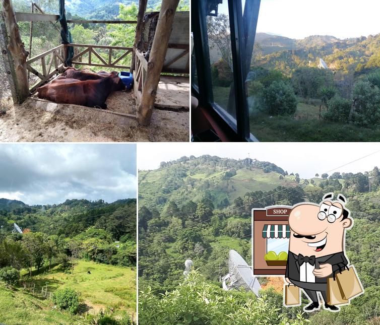 Restaurante de Carnes Donde Alcides