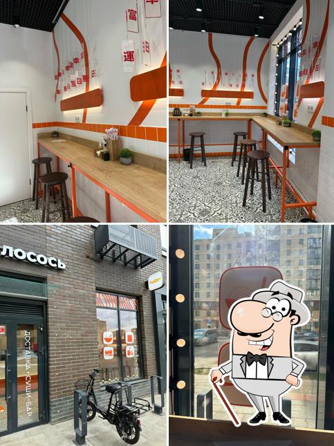 Вкус и лосось