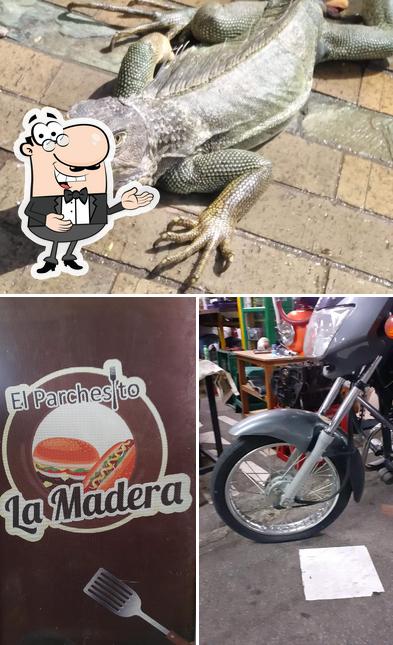 El Parchesito