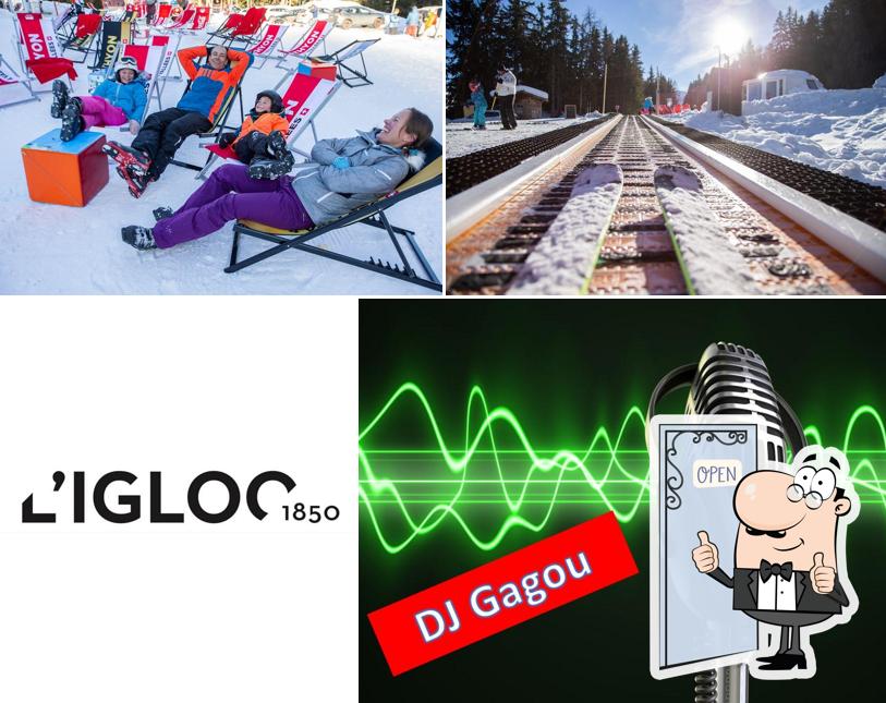 L'IGLOO 1850