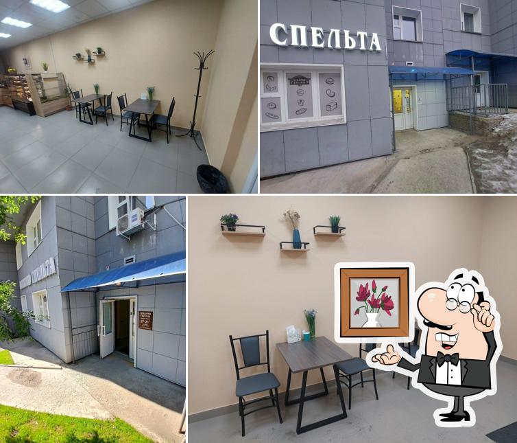 Спельта