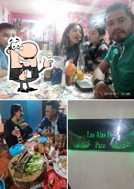 Las Alas del PATO