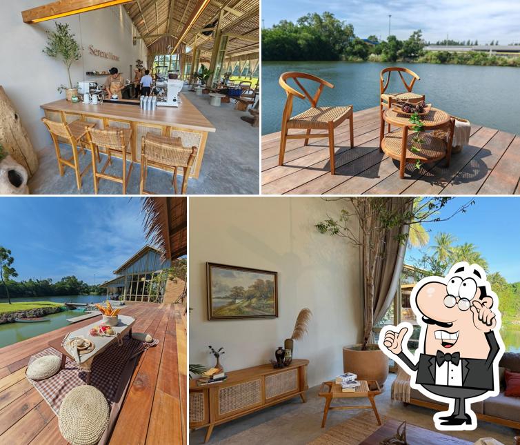 Serene House Cafe