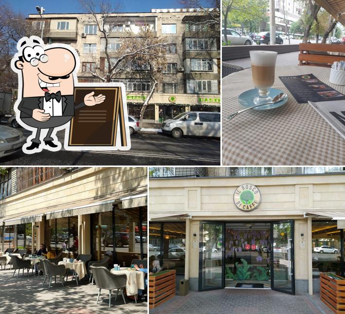 IL BOSCO DI CAFFE